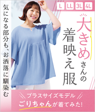 W 傫߂̒f