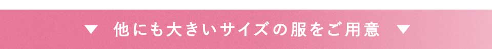 ɂ傫TCY̕p